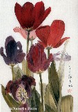 Tulip